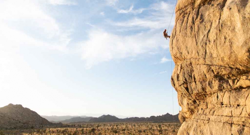 From a distance, a person appears small as they climb a tall rock face. 